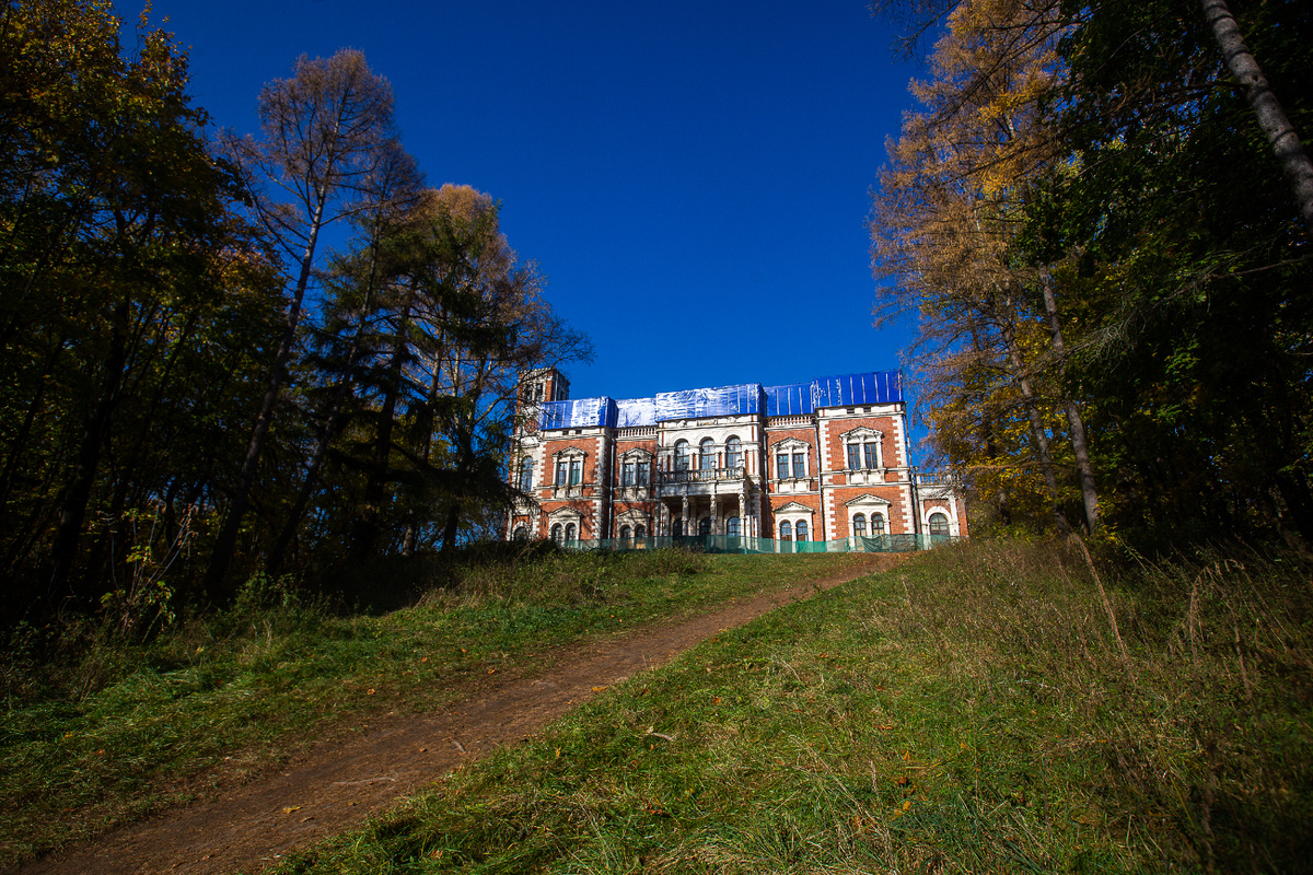 Усадьба Быково. Дворец Воронцовых-Дашковых. Раменский городской округ, Московская область. Фото автора статьи  