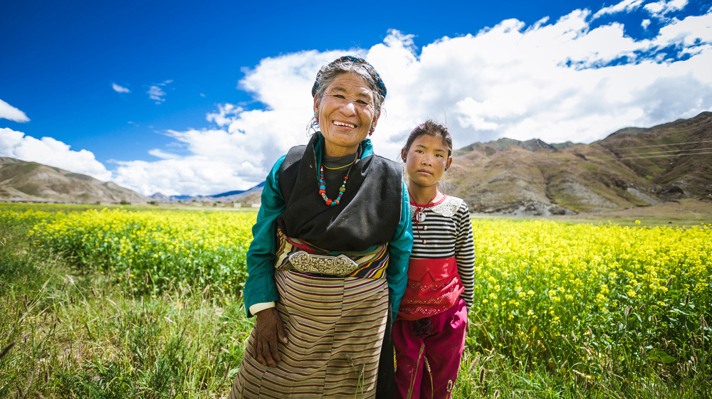    Фото: Vladimir Zhoga / Shutterstock.com
