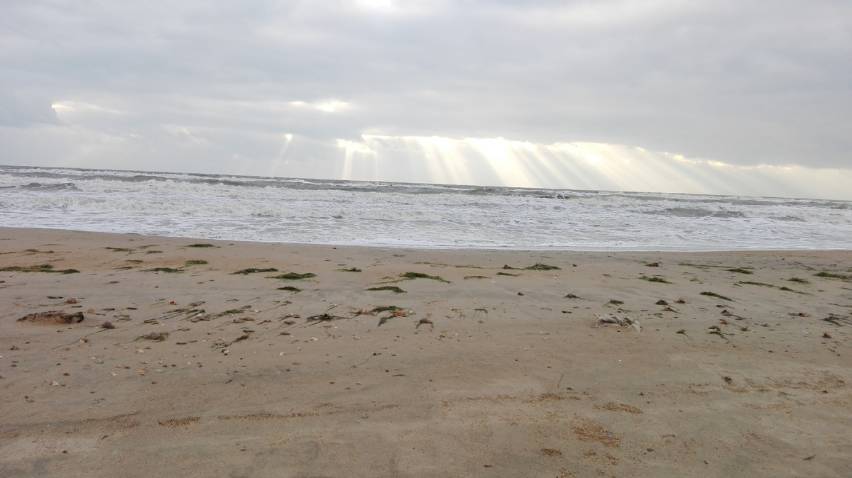 Черное море зимой. фото автора