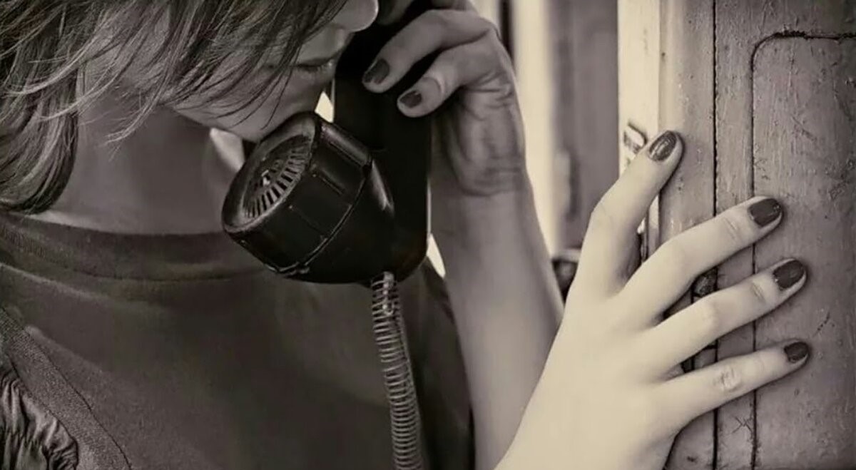 Из открытого доступа