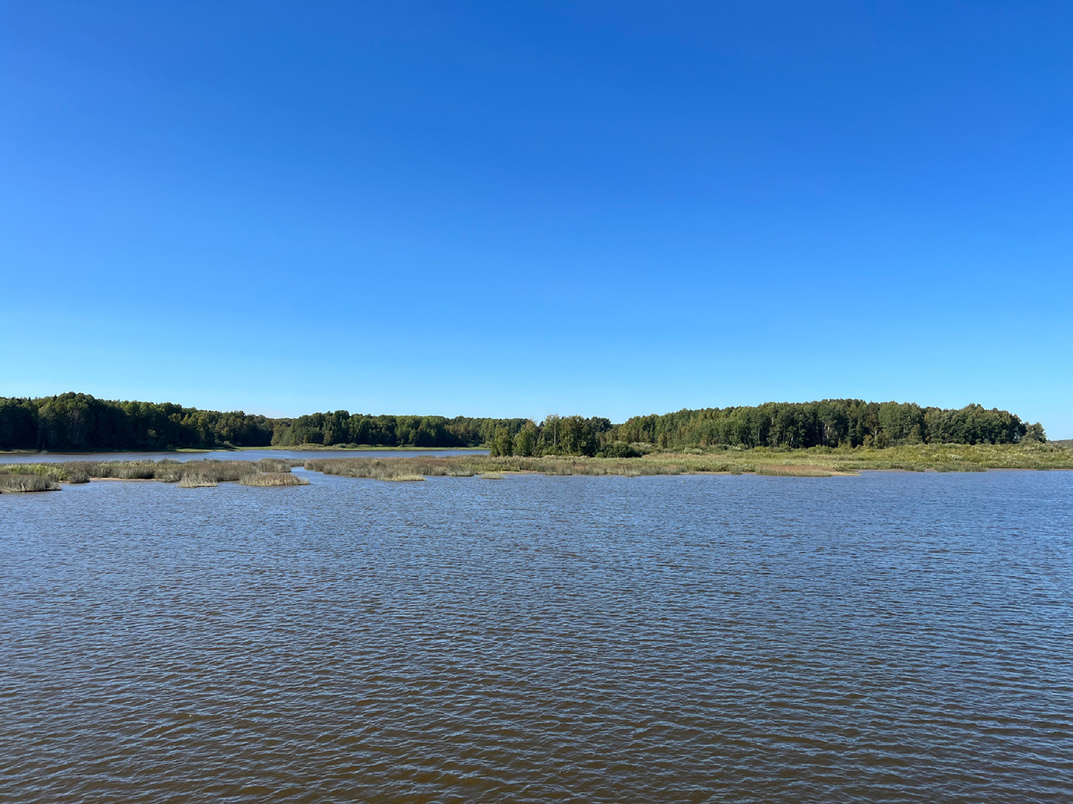 Или посидеть и полюбоваться видами 