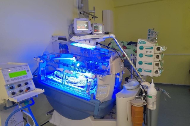   Фото: пресс-служба регионального правительства