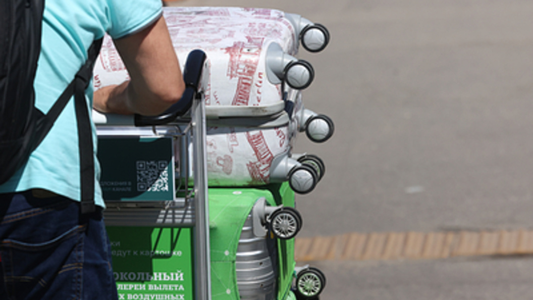    Фото: Petrov Sergey/Globallookpress.