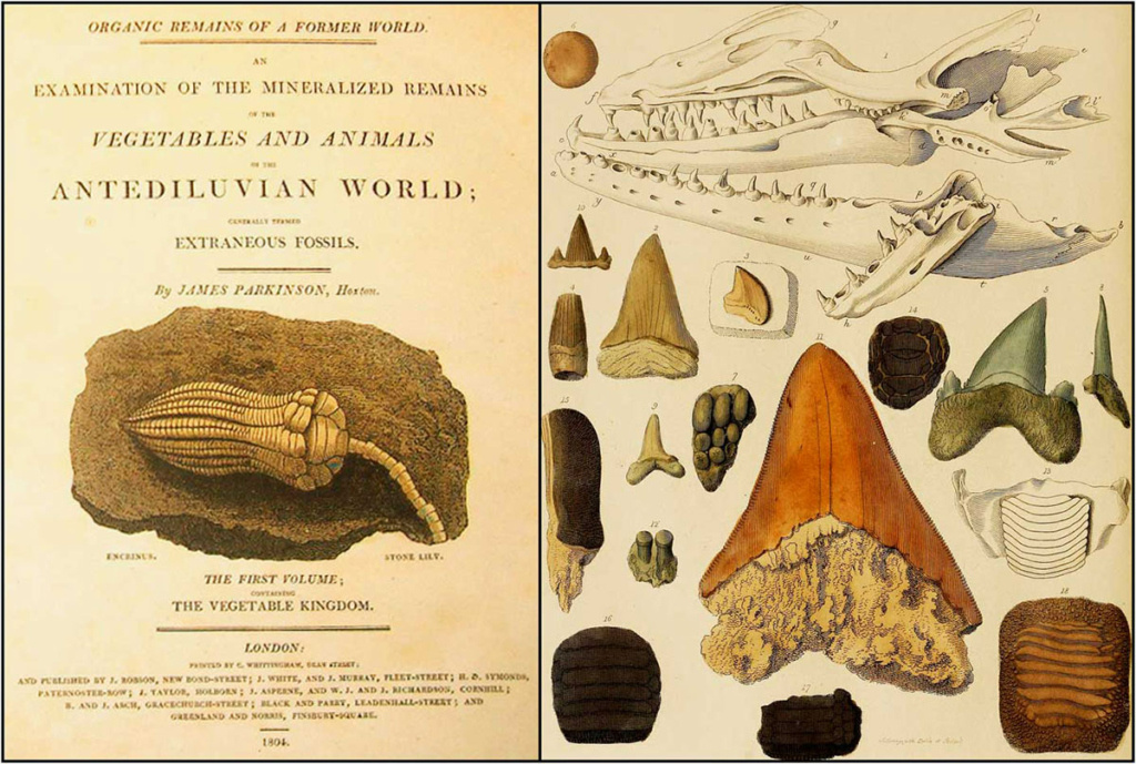 Репродукция фронтисписа первого тома «Органических останков прежнего мира» Джеймса Паркинсона, опубликованного между 1804 и 1811 годами. Фото: https://www.cambridge.org/