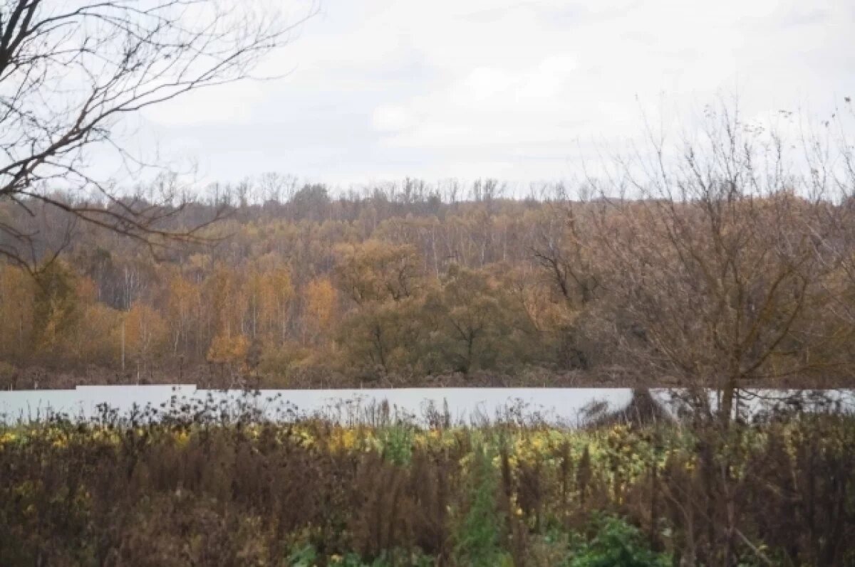    23 октября в Туле ожидается небольшой дождь и до +11