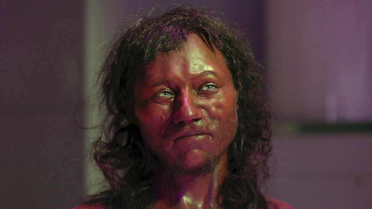 Реконструкция облика древнего человека, жившего в Британии 10 тысяч лет назад.