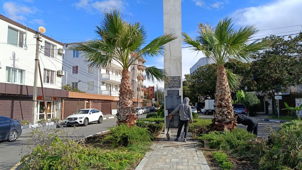    Фото: Telegram/МЦУ Сочи