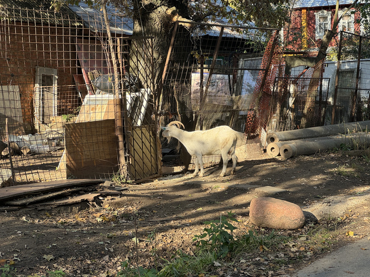 ФОТО: ИРИНА БОБРОВА