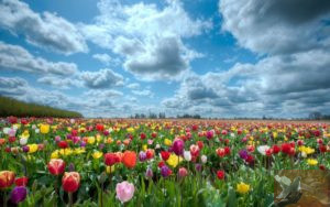 Красота на островах