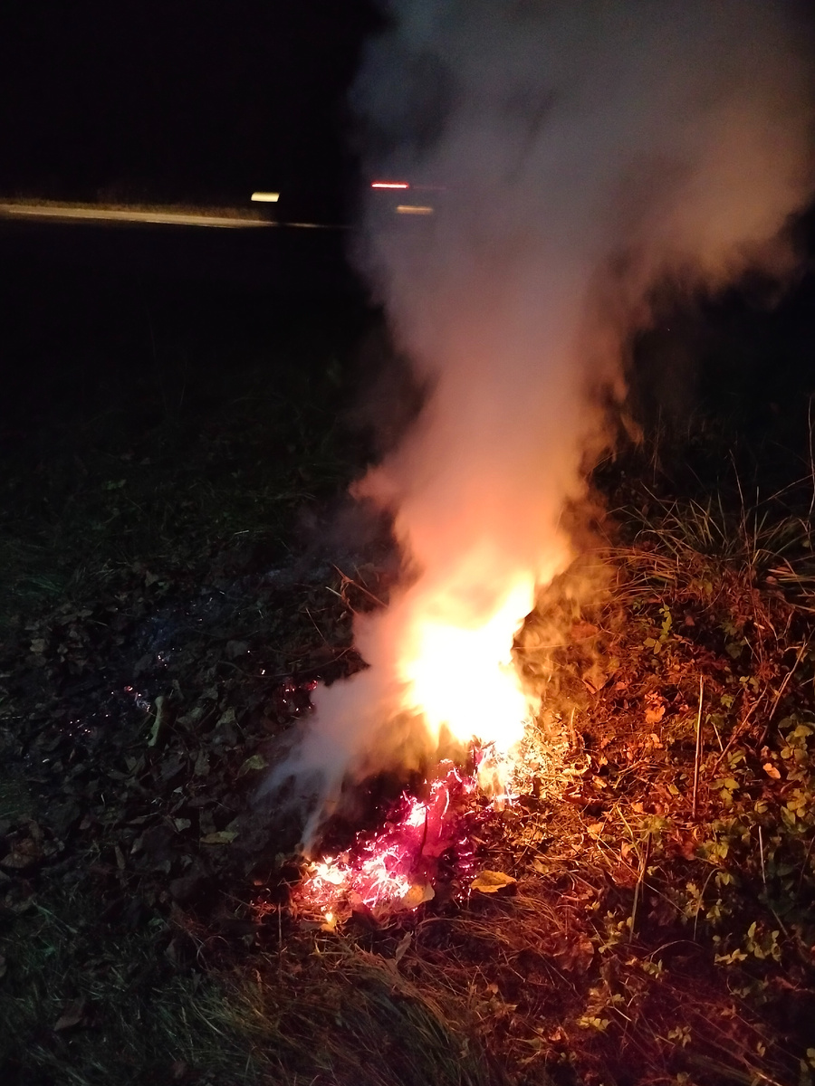 Убрали листву с двух сторон нашего участка и решили сжечь, ветра нет. Вверху на фото огни от проезжавшей машины