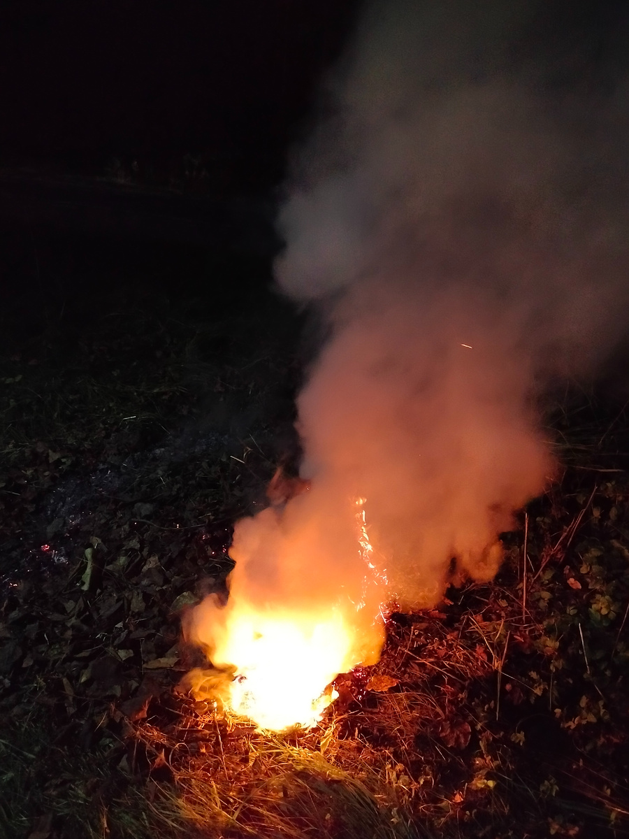 "Листья жгут, листья жгут..."