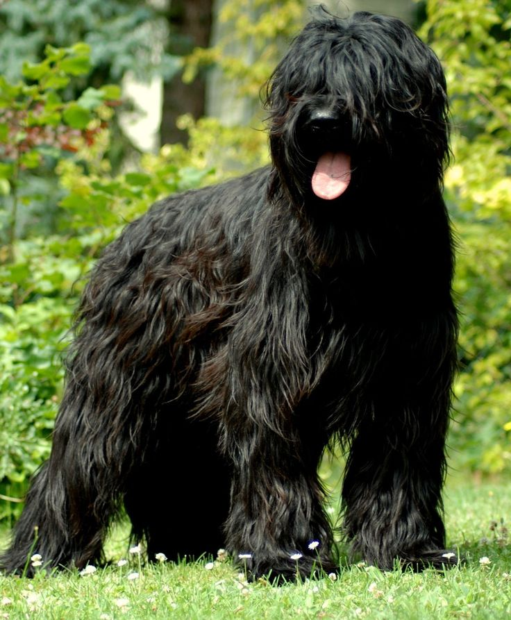 Фото из сторонних источников.