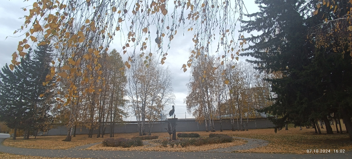 Где-то на просторах моего города. Фотография автора, октябрь 2024 года. 