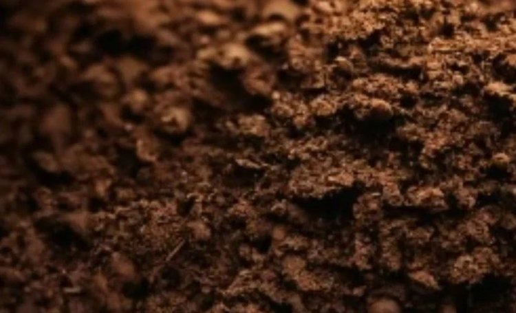    Чем удобрить почву в теплице осенью