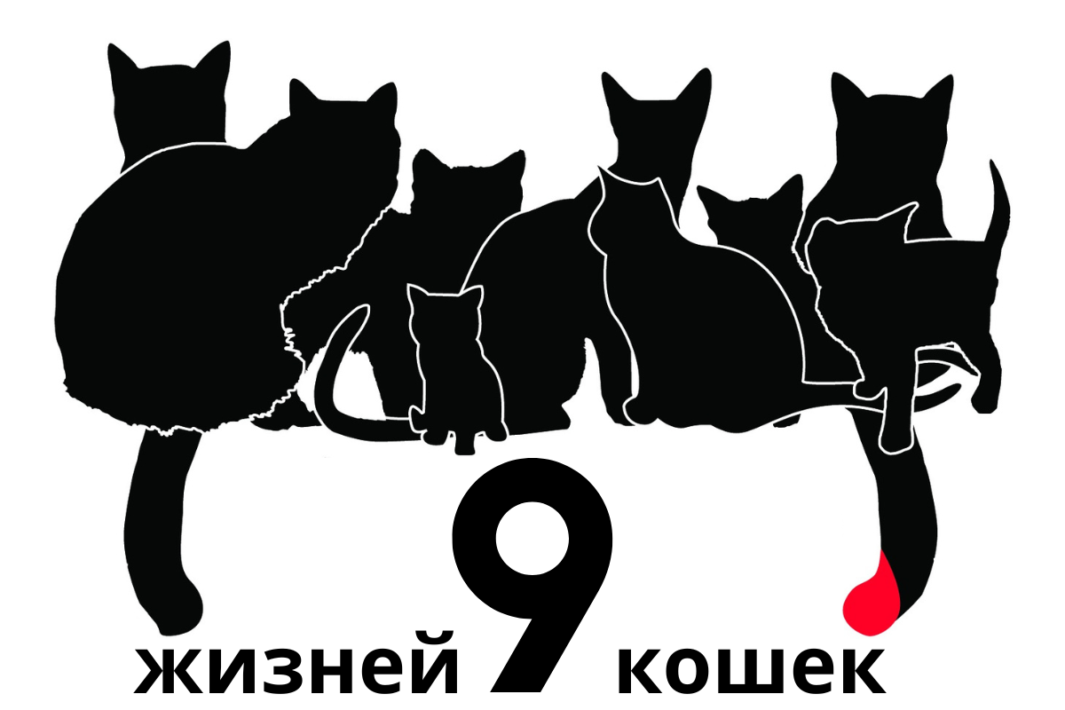Девять жизней у кошек 
