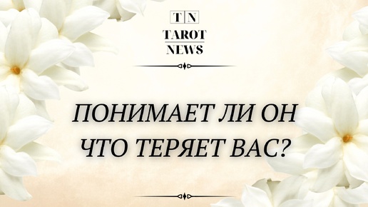 Тарот ньюс. Тарот ньюс. Тарот ньюс. Тарот ньюс. Таро эмблема.