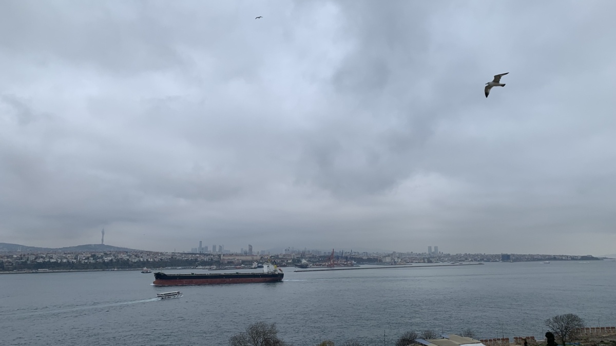 Собственное фото ИА SM-News📷
