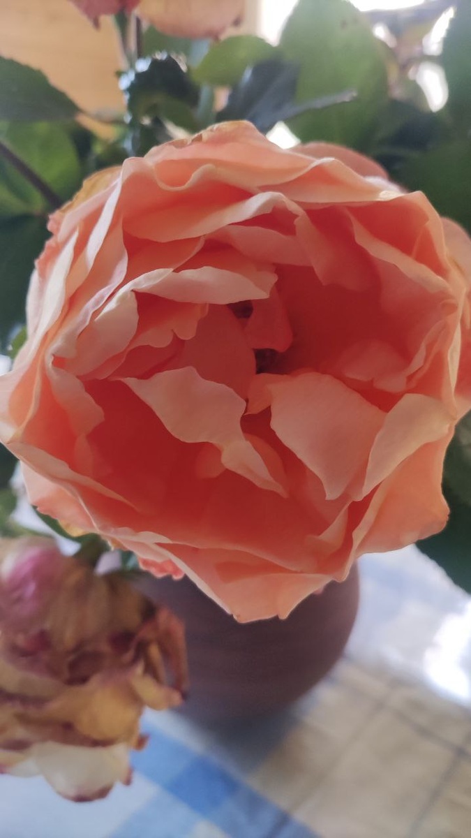 На последней практике по терапии принятия и ответственности говорили о ценностях. Вопрос оказался сложным. Потому, что терапия принятия и ответственности предполагает выявление ценностей клиента в конкретных жизненных ситуациях. Далее вопрос звучит что приближает и что удаляет Вас от этой ценности?  И это оказалось не просто выявить, потому что в обычной жизни мы не привыкли оперировать такими категориями. 
Вообще то все просто, что важно для человека то и является его ценностью. Например маму не устраивает ситуация, что она кричит на ребенка из за учебы. Её волнует эта ситуация потому что такое её поведение уводит её от хороших отношений с ребёнком. А теплые доверительные отношения с ним являются для неё ценностью. 
Определив эту ценность можно работать с поведением мамы и поддерживать ее будет понимание для чего она свое поведение меняет, для того чтобы сохранить хорошие отношение с ребенком. 
Так, что ценности у всех разные! А это лишний раз подтверждает, что люди индивидуальны, уникальны. Интересно что люди часто не задумываются над тем, что для них действительно важно. Иногда этот вопрос может поставить в тупик или вообще вызвать слезы!  "Я не знаю, что для меня важно, не знаю чего я хочу"-говорит человек и плачет. Возможно плачет от того, что не осознает своих ценностей , потребностей, желаний и или от того, что не смеет себе признаться в своих желаниях, в своей самоценности. 