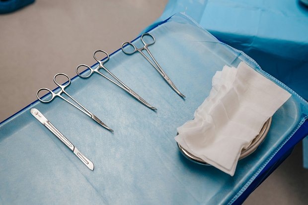 Фото: César Badilla Miranda / Unsplash