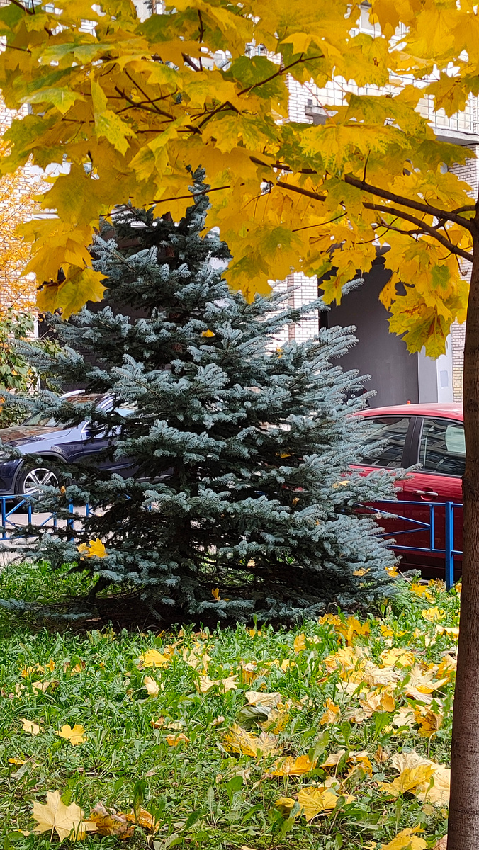 Фото автора 