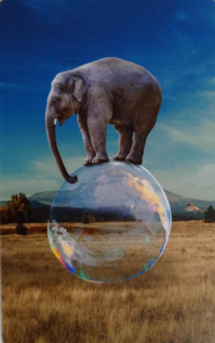 Фотография из личного архива автора