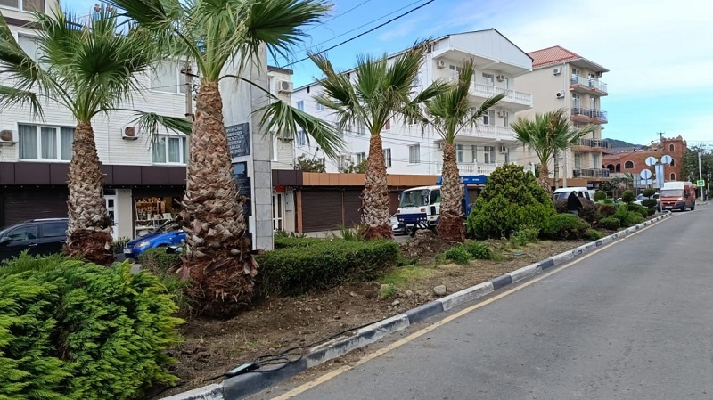    Фото: пресс-служба МЦУ Сочи