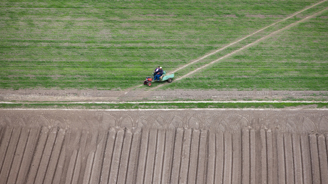    Фото: Serguei Fomine/Globallookpress