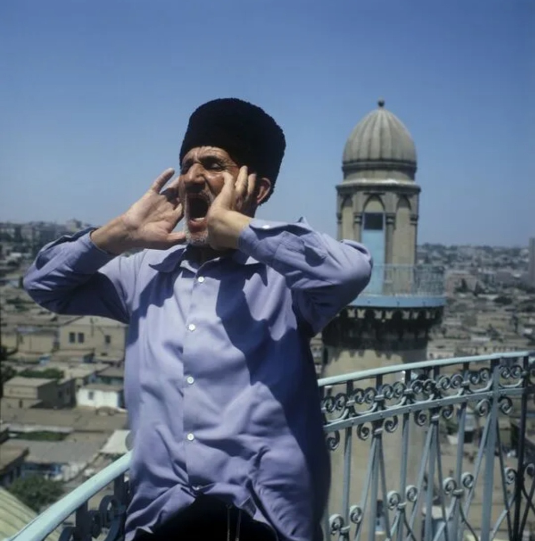 Яндекс. Картинки