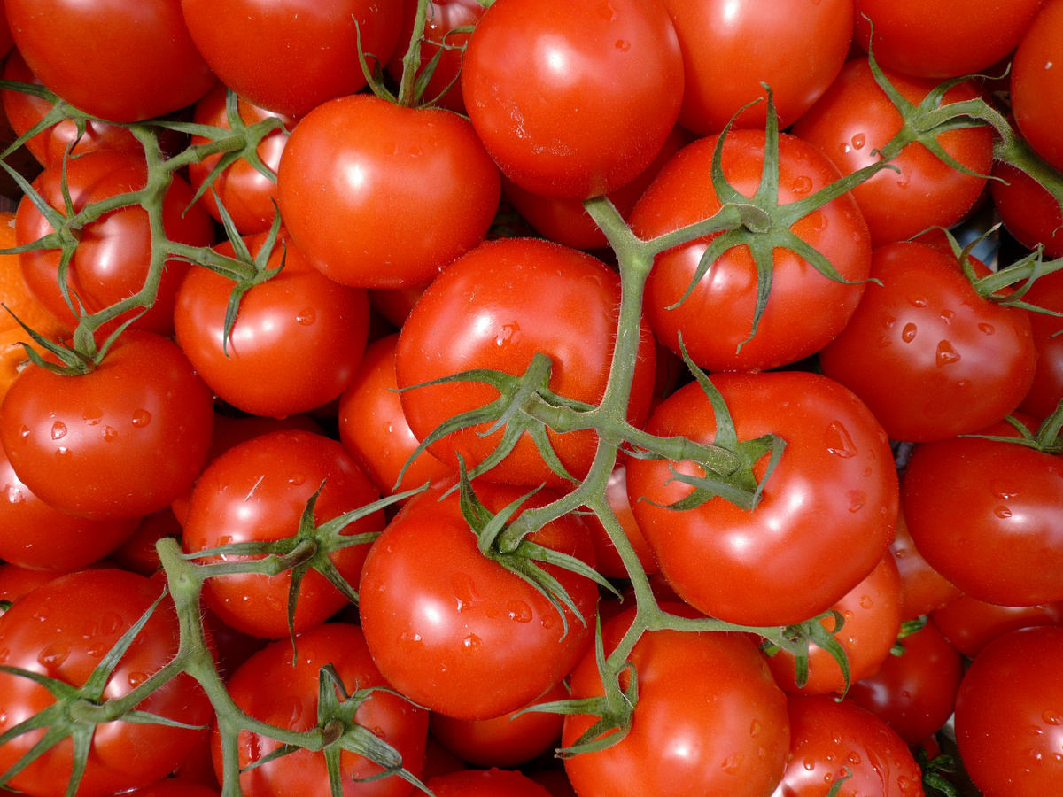 Фото: © R. Tscherwitschke / CHROMORANGE/chromorange/Global Look Press