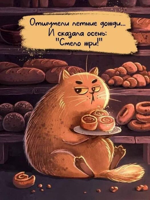 Из открытых источников интернета.