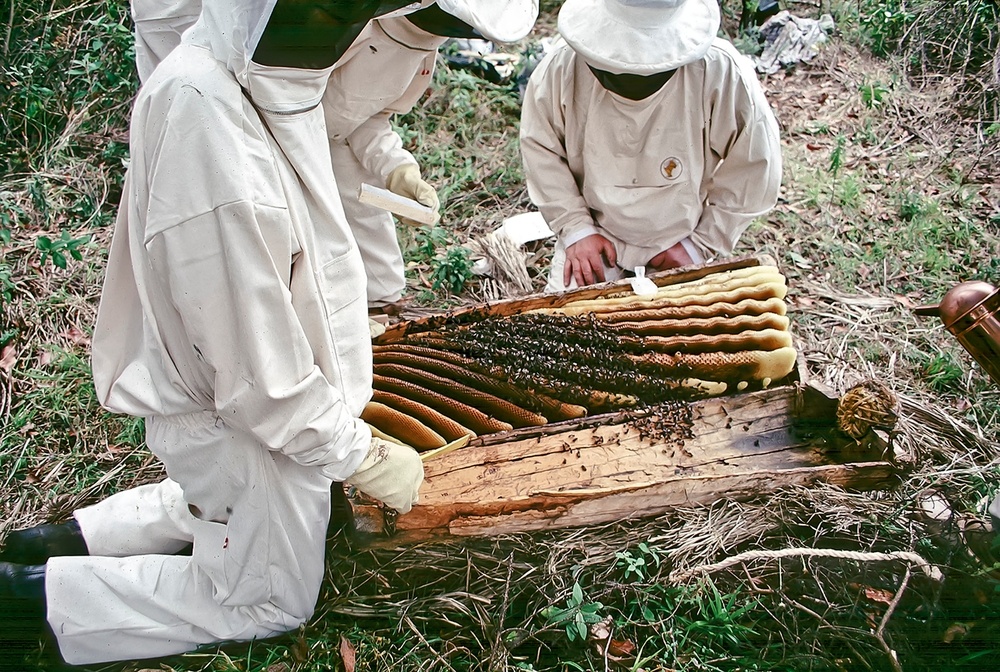 III международный форум пчеловодов «Медовый мир» 