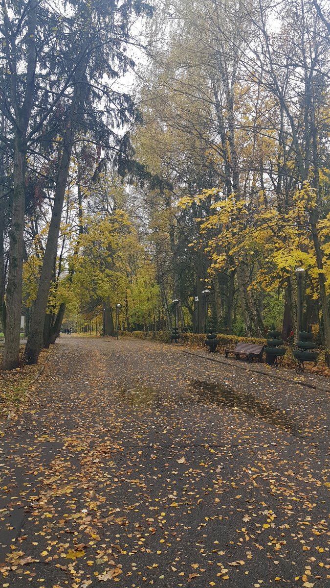 Какая красивая осень!🍁🍂🍁