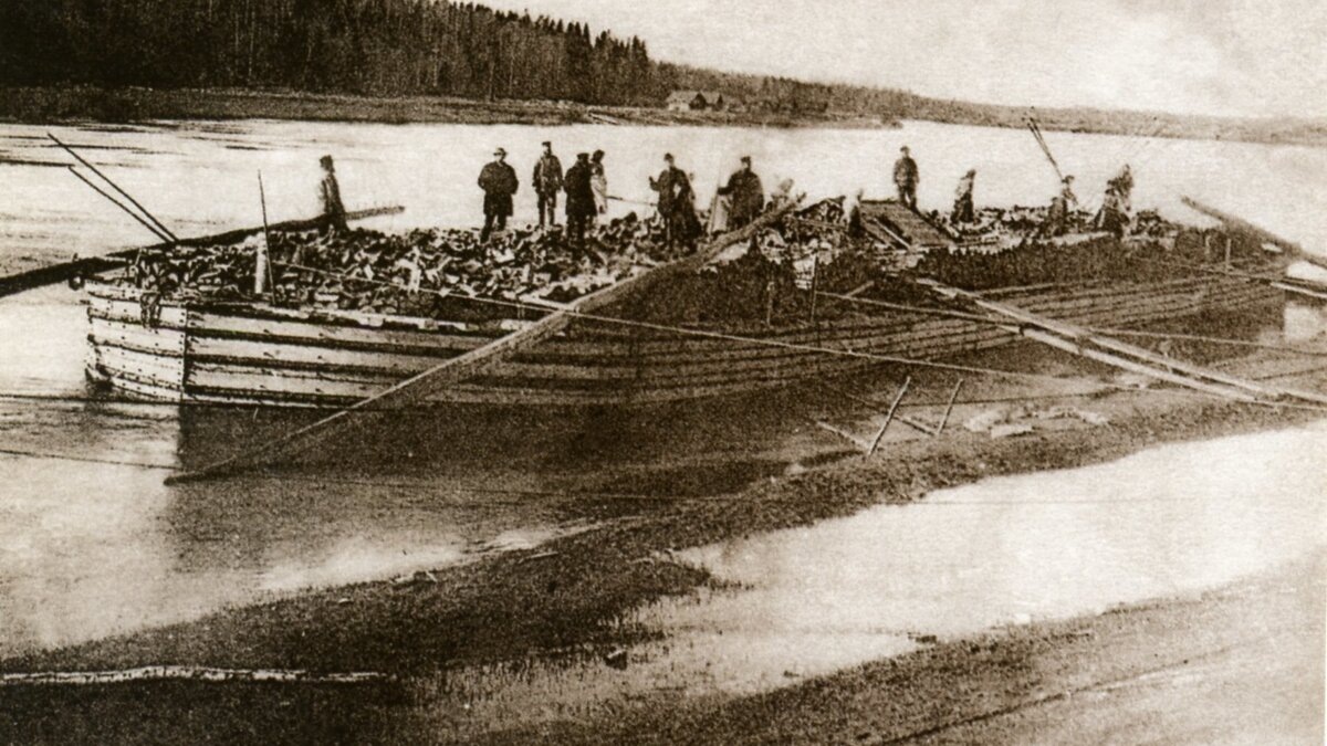 вот на таких баржах спускали зерно по Северной Двине