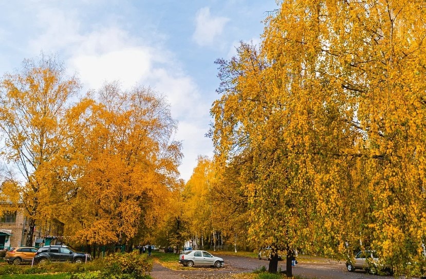    Погода в Ижевске на день: 23 октября ждем небольшие дожди и до +9°С