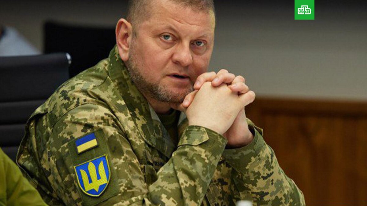    Фото: zaluzhnyj / t.me