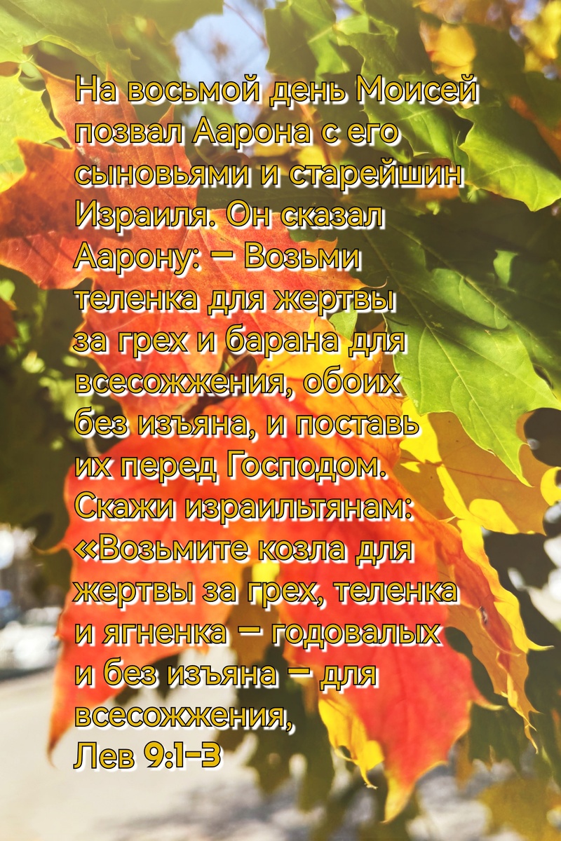 Книга Левит, Глава 9, Стихи 1-3