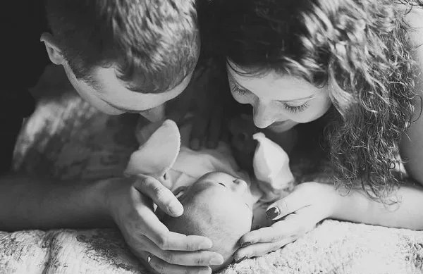 Из открытого доступа