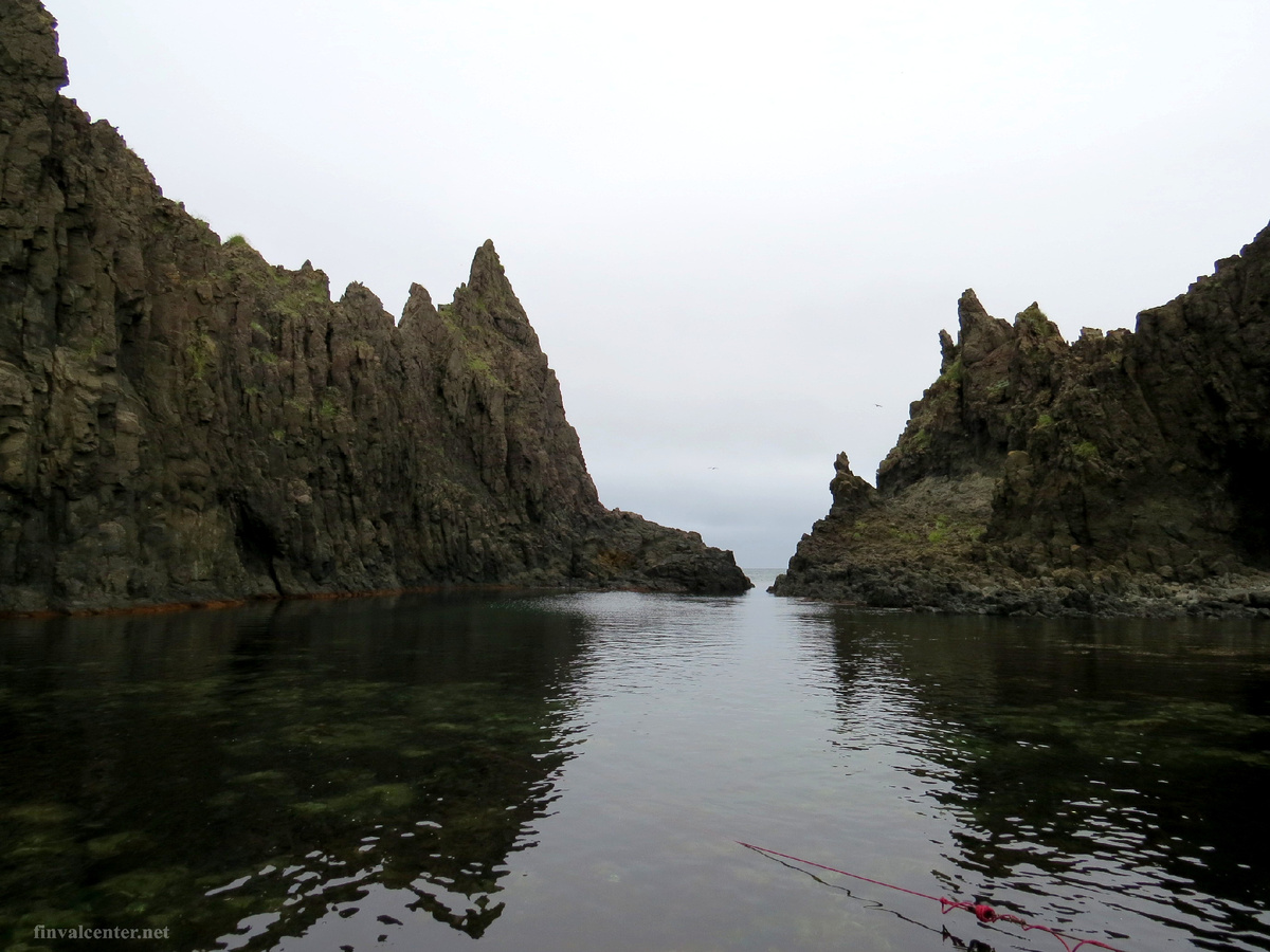 Здесь и осталась наша кошечка...