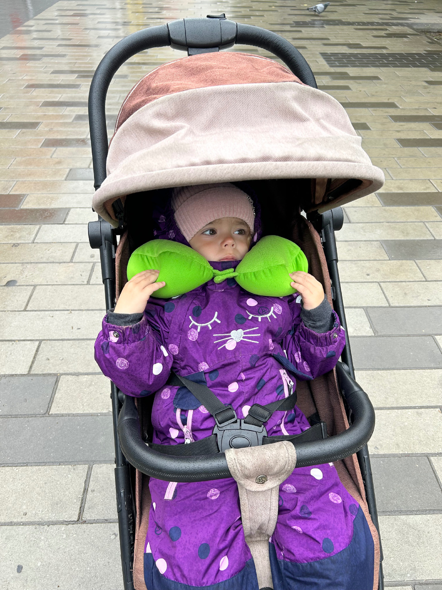 Мадмуазель захотелось выехать на прогулку с массажным воротником 😅