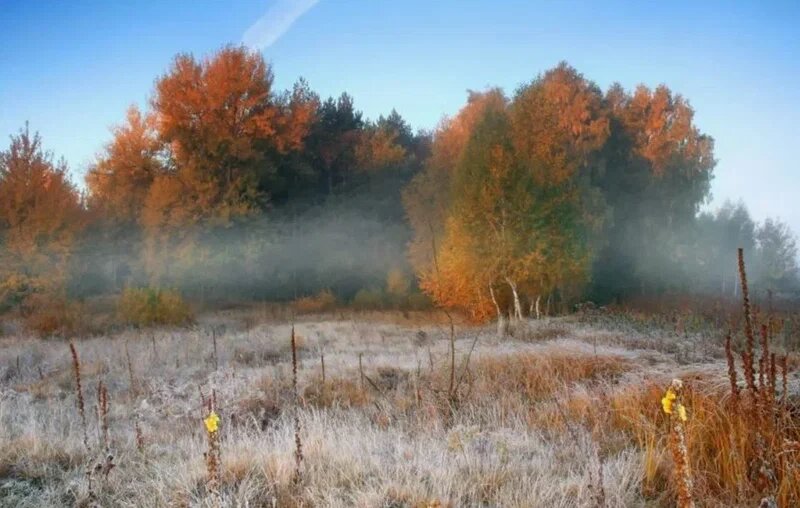 Из открытых источников.