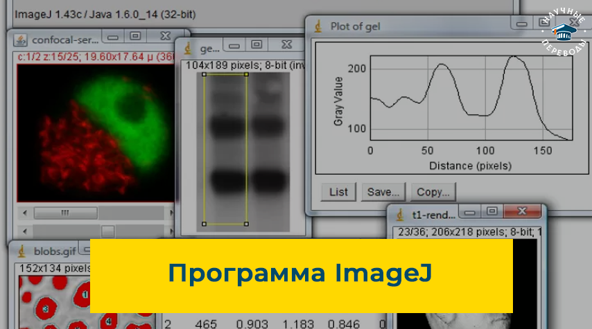 ImageJ: бесплатная программа для анализа и обработки изображений