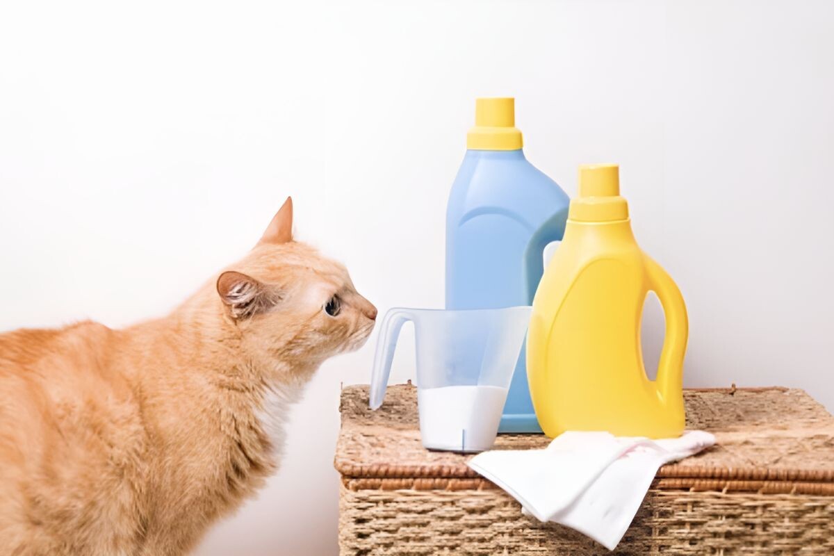 Почему кошки любят запах хлорки