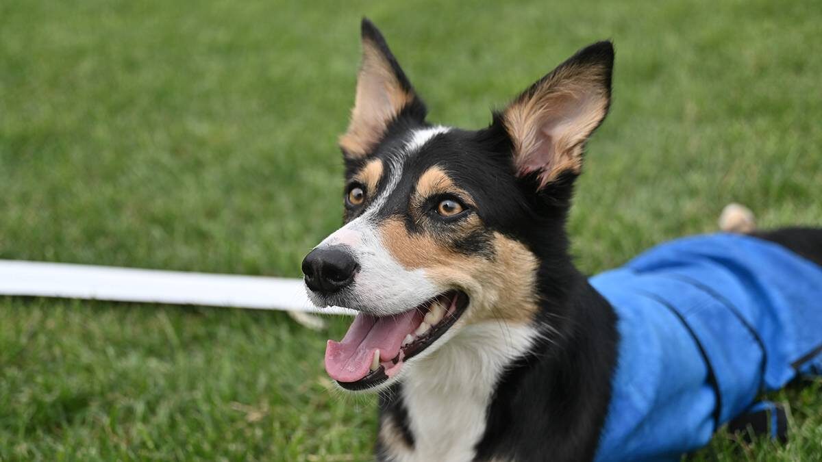    Фото: Наталья Феоктистова / Вечерняя Москва