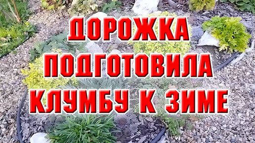 Закончила дорожку, подготовила одну клумбу к зиме