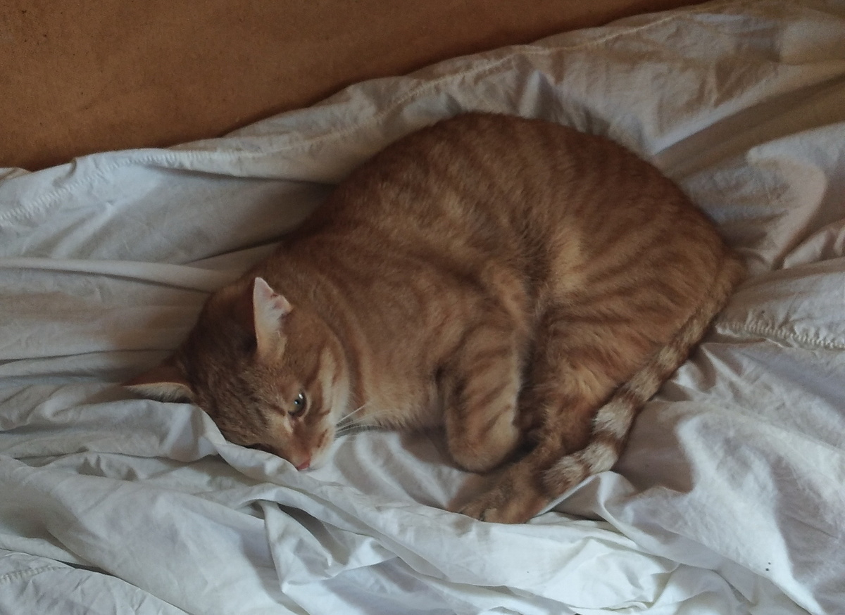 Личное  фото