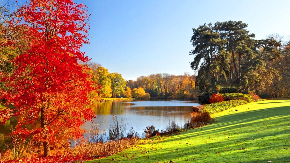 Фото взято из интернета.