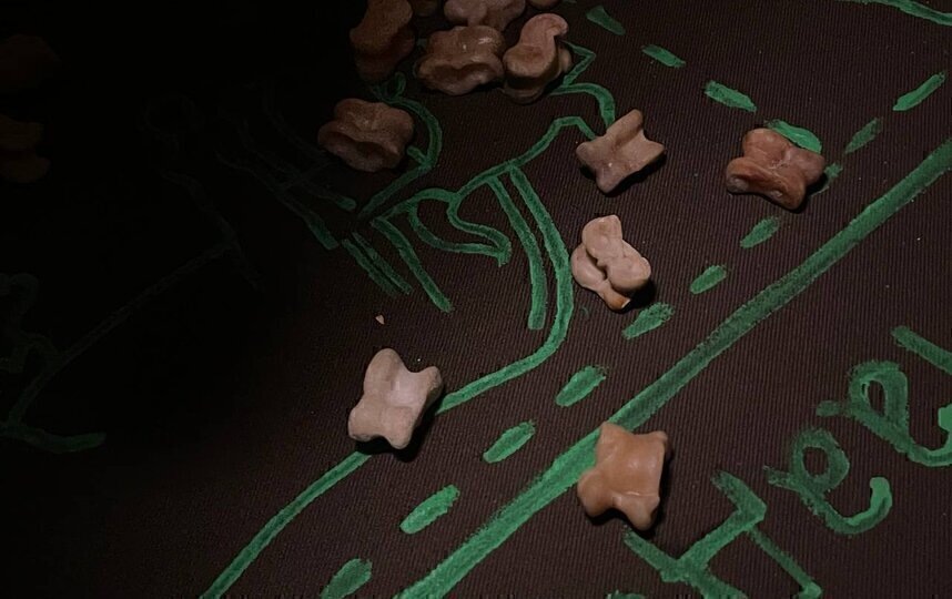    Национальная игра в бараньи кости - Шагай НааданАнгелина Пикеева