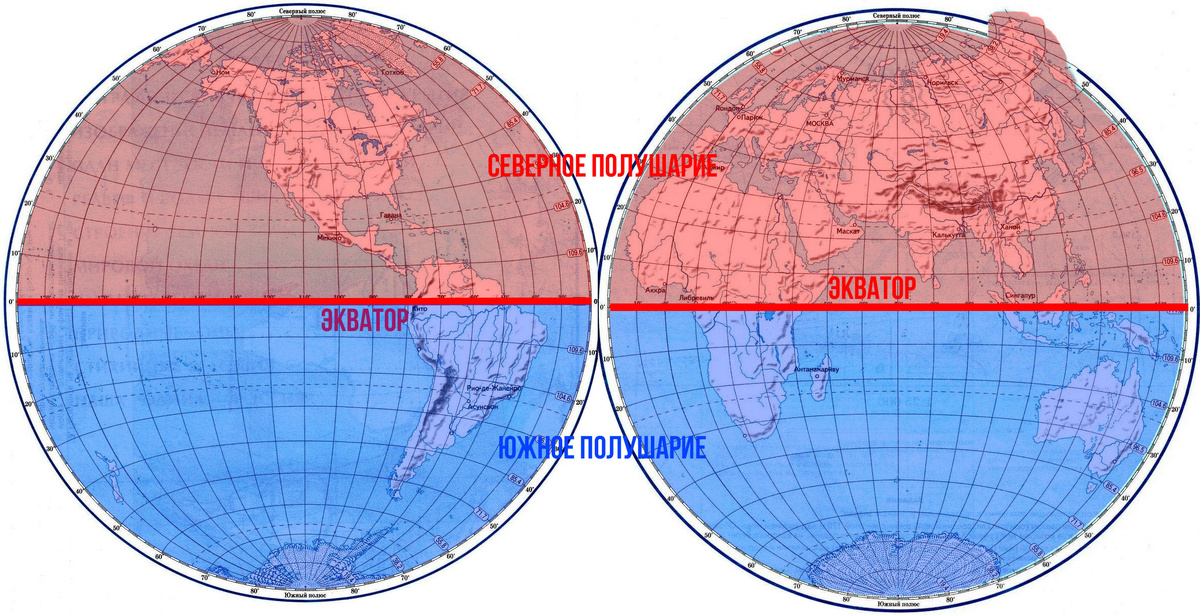 Красным цветом выделено северное полушарие, а синим - южное