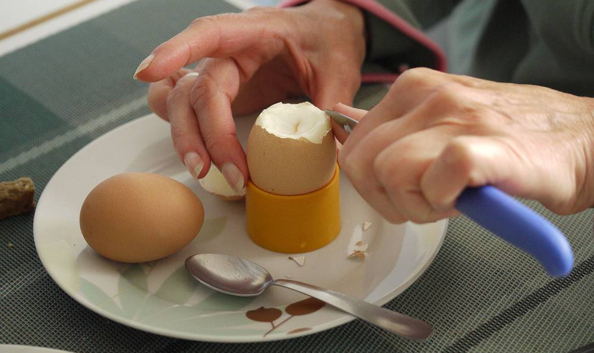 Почему яйца вообще полезны? 🥚