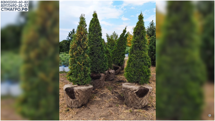 Фотография взята из архива компании «Система»